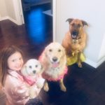 Ellie in Pink Dress Surrounded with Dogs on Seventh Birthday